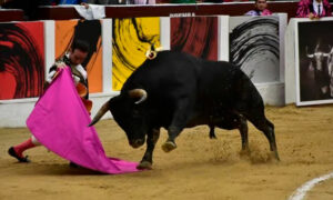 corridas de toros