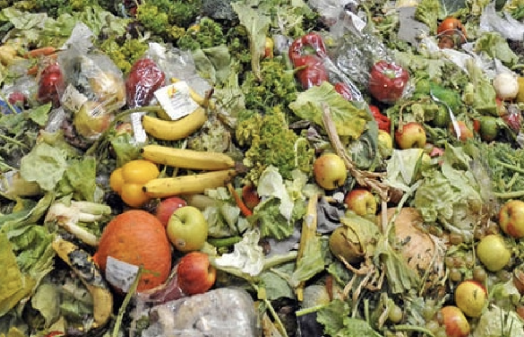 desperdicio de alimentos